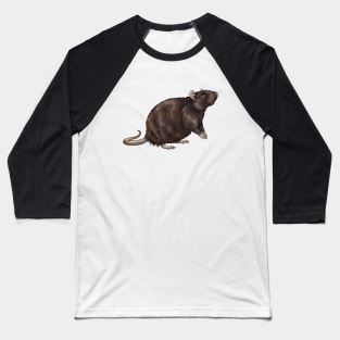 Cute Brown Rat Baseball T-Shirt